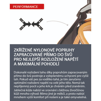 CURLI Postroj pre psov z jablčnej kože Brown S, 4-7 kg