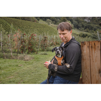 CURLI Postroj pre psov z jablčnej kože Brown S, 4-7 kg