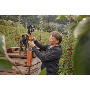 CURLI Postroj pre psov z jablčnej kože Brown S, 4-7 kg