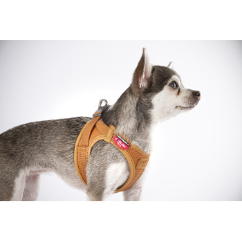 CURLI Postroj pre psov z jablčnej kože Brown S, 4-7 kg