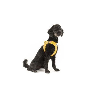 CURLI Postroj pre psov so sponou Air-Mesh Mango M, 6-9 kg