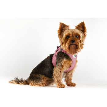 CURLI Postroj pre psov so sponou Air-Mesh Rose M, 6-9 kg